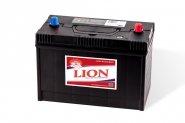Lion-487