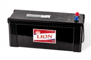 Lion-492