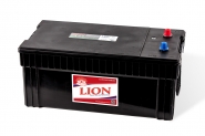 Lion-495