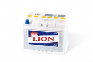 Lion-255