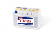 Lion-257