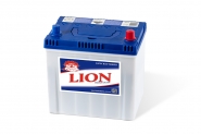 Lion-259
