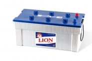 Lion-295