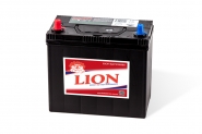 Lion-432