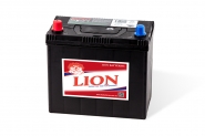Lion-434