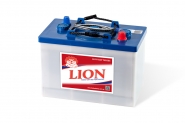 Lion-435