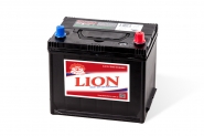 Lion-453