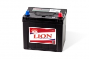 Lion-465