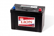 Lion-481