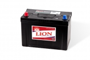 Lion-482