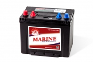 Lion-SMFM24-810